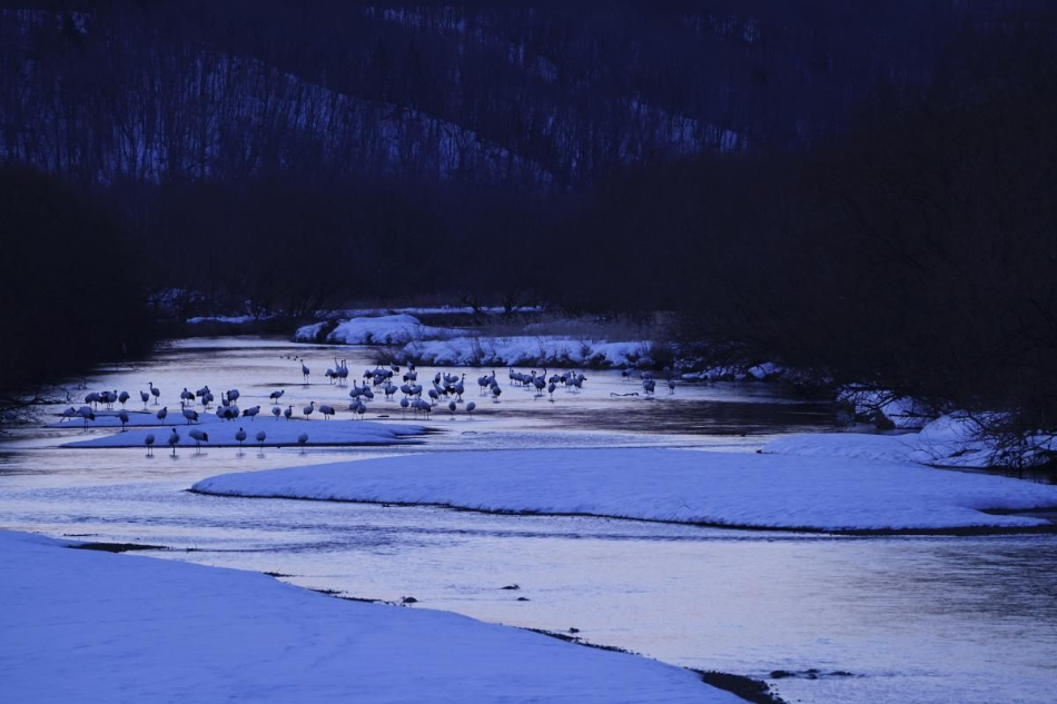 Sony FE 100-400mm f/4.5-5.6 GM OSS by  in  - EC MALL