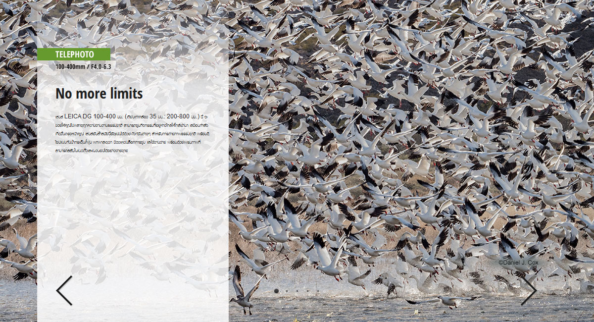 Panasonic Leica DG Vario-Elmar 100-400mm f/4.0-6.3 ASPH. Power O.I.S Lens by  in  - EC MALL