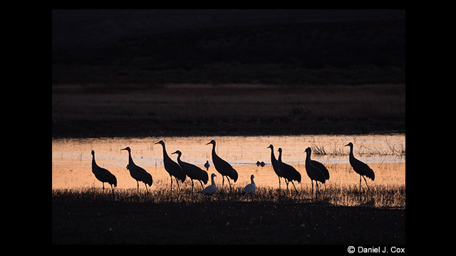 Panasonic Leica DG Vario-Elmar 100-400mm f/4.0-6.3 ASPH. Power O.I.S Lens by  in  - EC MALL