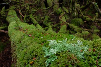 Fujifilm Fujinon XF 16mm f/1.4 R WR lens by  in  - EC MALL