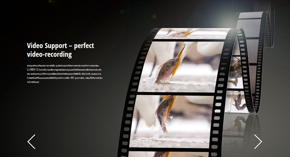 Panasonic Leica DG Vario-Elmarit 8-18mm f/2.8-4 ASPH by  in  - EC MALL