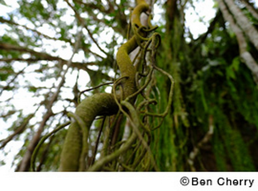 Fujifilm Fujinon XF 16mm f/1.4 R WR lens by  in  - EC MALL