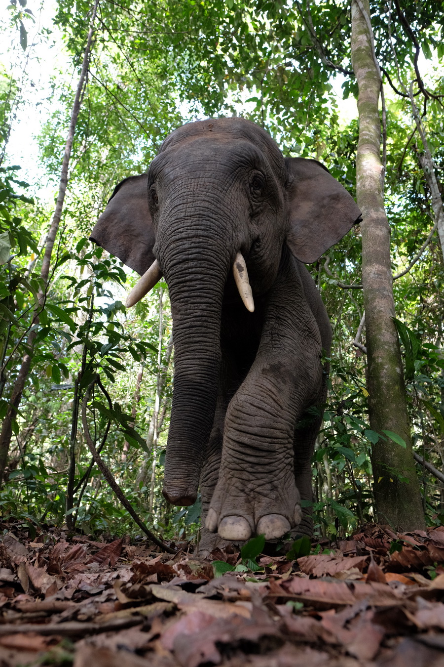 Fujifilm Fujinon XF 16mm f/1.4 R WR lens by  in  - EC MALL