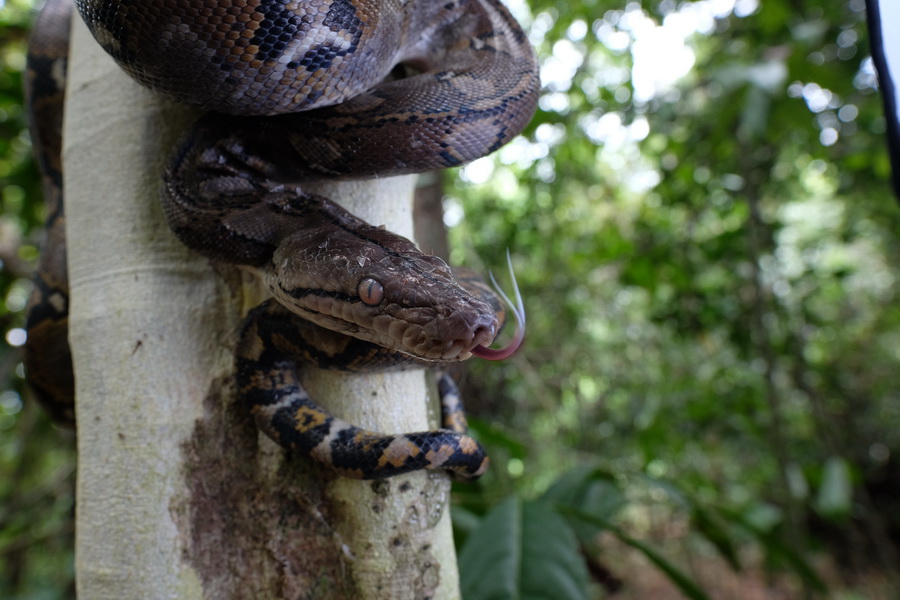 Fujifilm Fujinon XF 16mm f/1.4 R WR lens by  in  - EC MALL