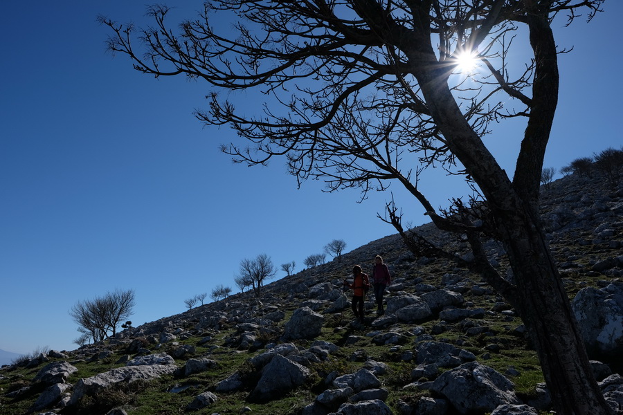 Fujifilm Fujinon XF 16mm f/1.4 R WR lens by  in  - EC MALL