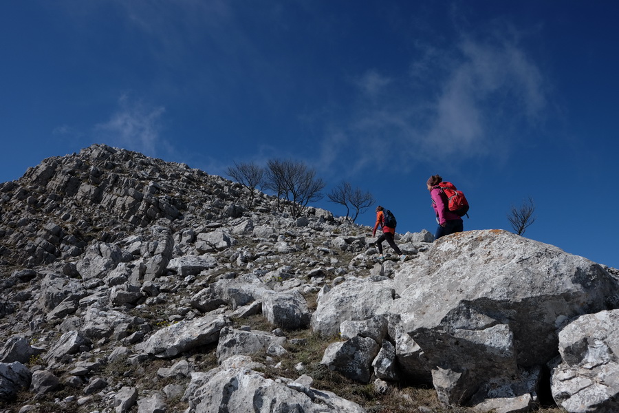 Fujifilm Fujinon XF 16mm f/1.4 R WR lens by  in  - EC MALL