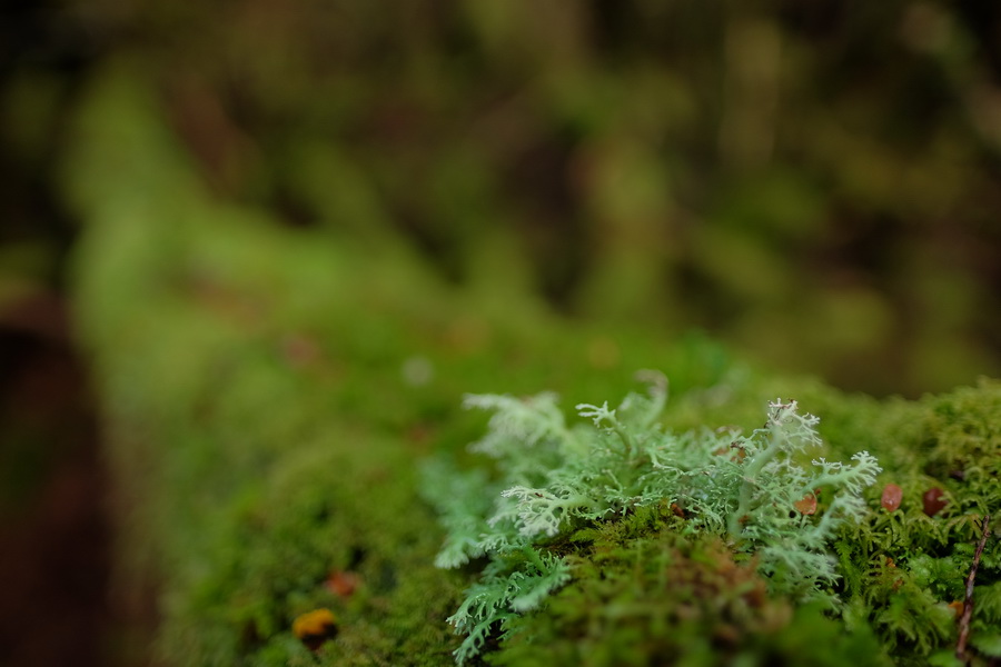 Fujifilm Fujinon XF 16mm f/1.4 R WR lens by  in  - EC MALL