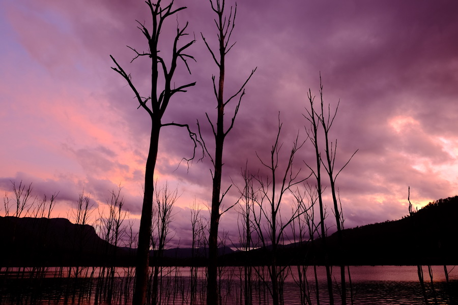 Fujifilm Fujinon XF 16mm f/1.4 R WR lens by  in  - EC MALL