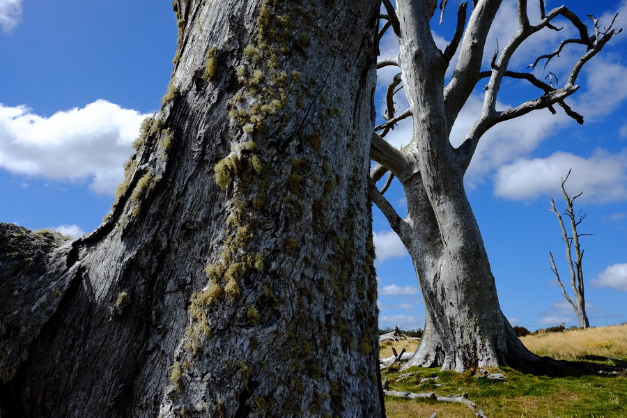 Fujifilm Fujinon XF 16mm f/1.4 R WR lens by  in  - EC MALL