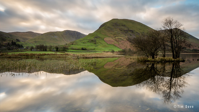 Panasonic Leica DG Vario-Elmarit 8-18mm f/2.8-4 ASPH by  in  - EC MALL