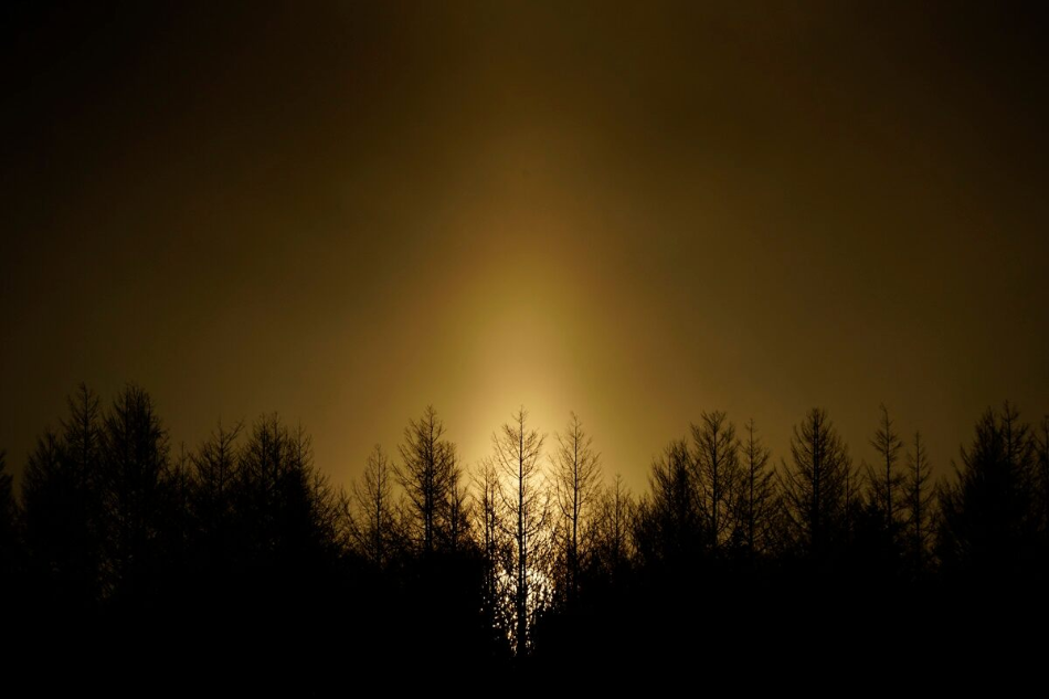 Sony FE 70-300mm f/4.5-5.6 G OSS by  in  - EC MALL