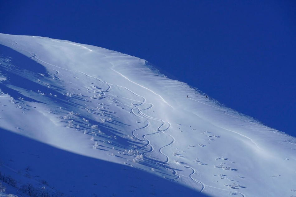 Sony FE 70-300mm f/4.5-5.6 G OSS by  in  - EC MALL