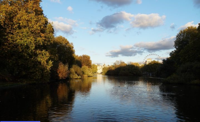 Sony E 18-135mm f/3.5-5.6 OSS by  in  - EC MALL