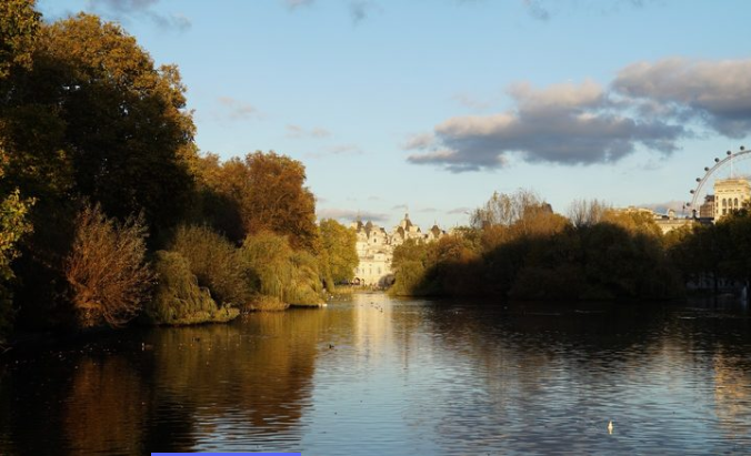 Sony E 18-135mm f/3.5-5.6 OSS by  in  - EC MALL