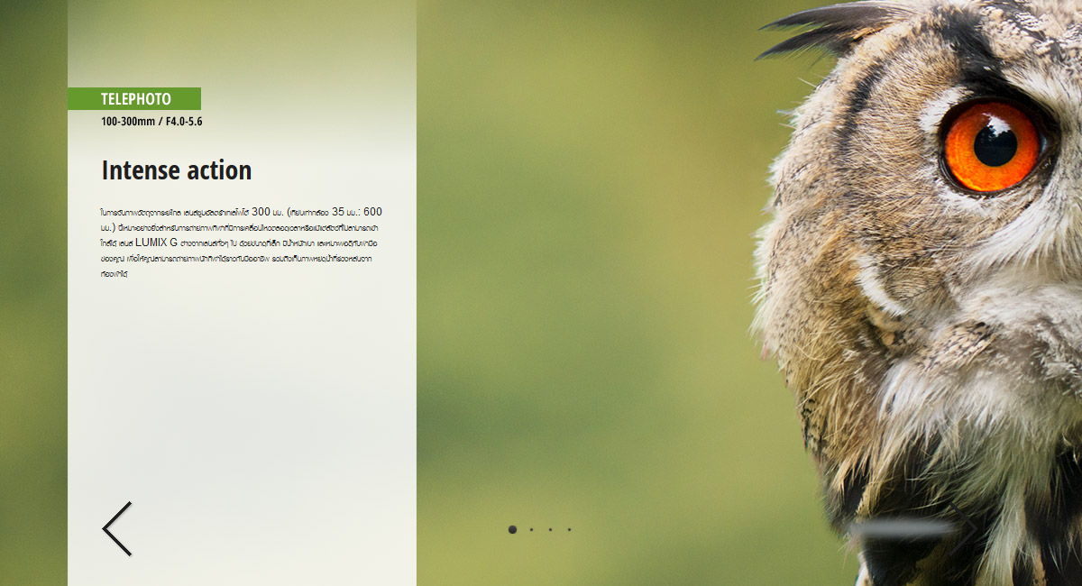 Panasonic Lumix G Vario 100-300mm f/4-5.6 II POWER O.I.S. Lens by  in  - EC MALL