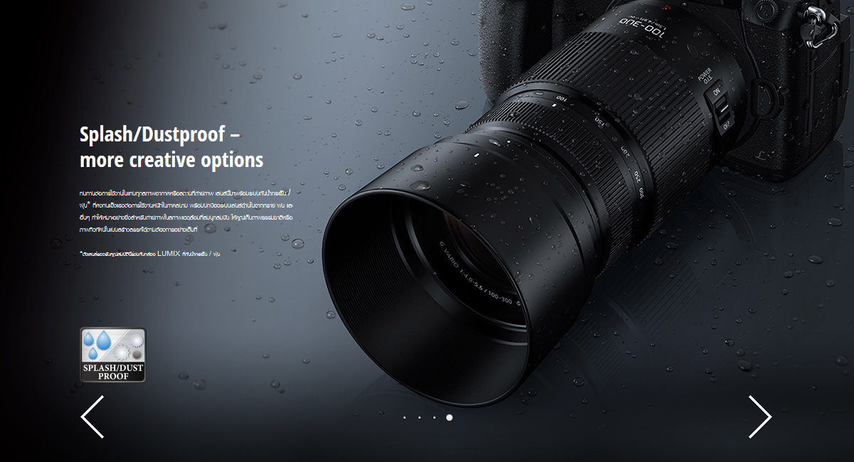 Panasonic Lumix G Vario 100-300mm f/4-5.6 II POWER O.I.S. Lens by  in  - EC MALL