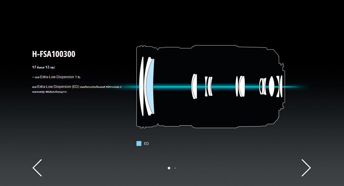 Panasonic Lumix G Vario 100-300mm f/4-5.6 II POWER O.I.S. Lens by  in  - EC MALL