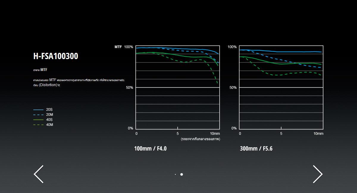 Panasonic Lumix G Vario 100-300mm f/4-5.6 II POWER O.I.S. Lens by  in  - EC MALL