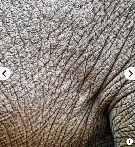 Panasonic Lumix G Vario 100-300mm f/4-5.6 II POWER O.I.S. Lens by  in  - EC MALL