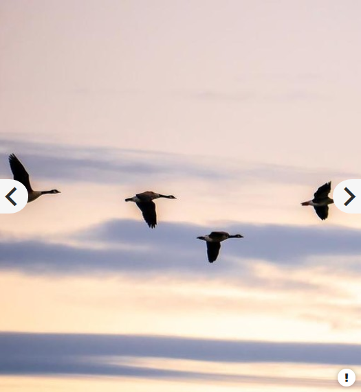 Panasonic Lumix G Vario 100-300mm f/4-5.6 II POWER O.I.S. Lens by  in  - EC MALL