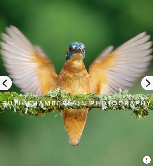 Panasonic Lumix G Vario 100-300mm f/4-5.6 II POWER O.I.S. Lens by  in  - EC MALL