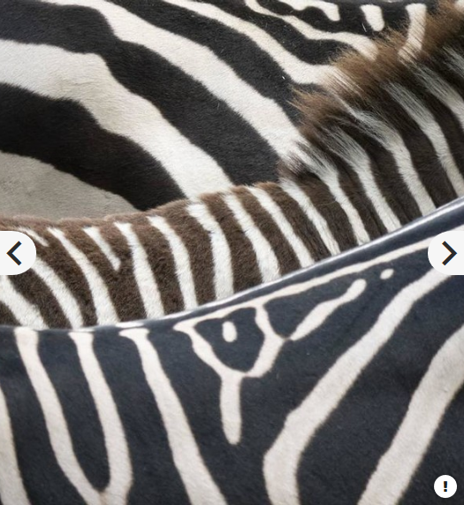 Panasonic Lumix G Vario 100-300mm f/4-5.6 II POWER O.I.S. Lens by  in  - EC MALL