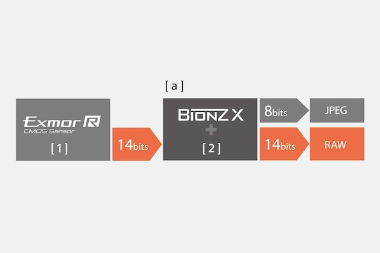 Sony A7III Mirrorless Camera by  in  - EC MALL