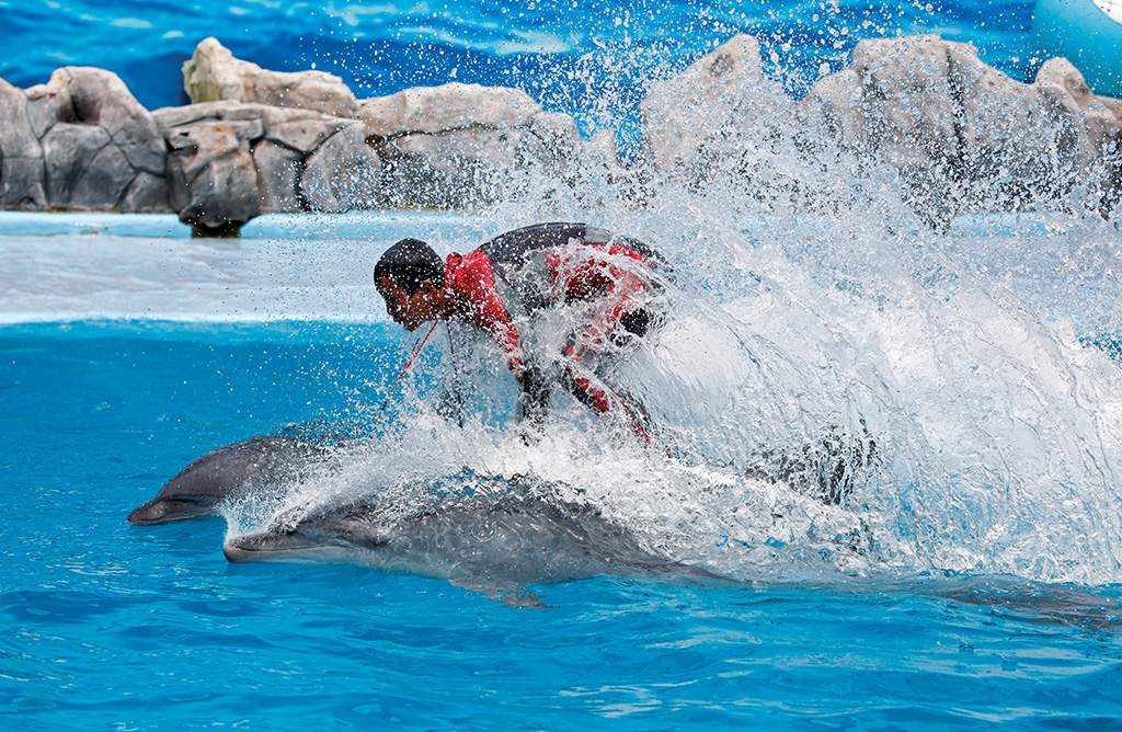 Canon EF 70-200mm f/4L IS II USM Lens by  in  - EC MALL