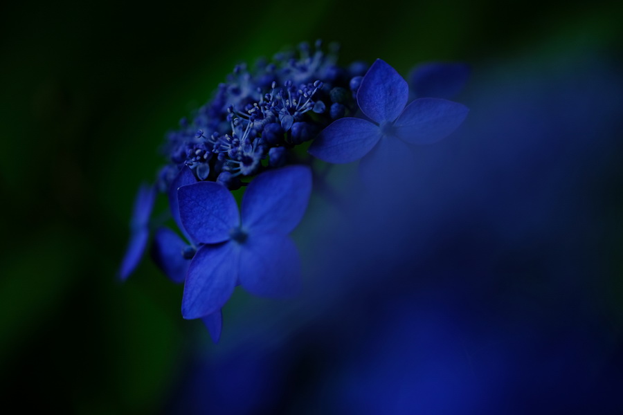 Fujifilm Fujinon XF 80mm f/2.8 R LM OIS WR Macro by  in  - EC MALL