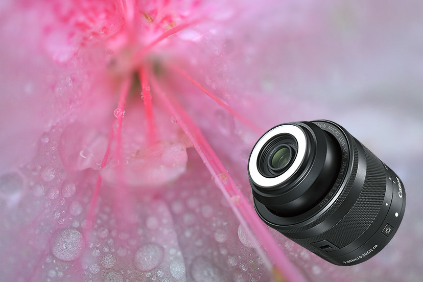 Canon EF-M 28mm f/3.5 Macro IS STM by  in  - EC MALL