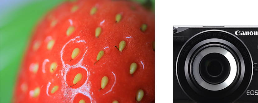 Canon EF-M 28mm f/3.5 Macro IS STM by  in  - EC MALL