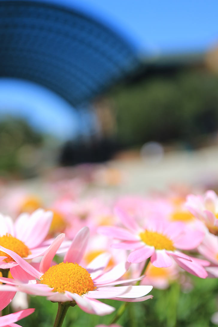 Canon EF-M 28mm f/3.5 Macro IS STM by in - EC MALL