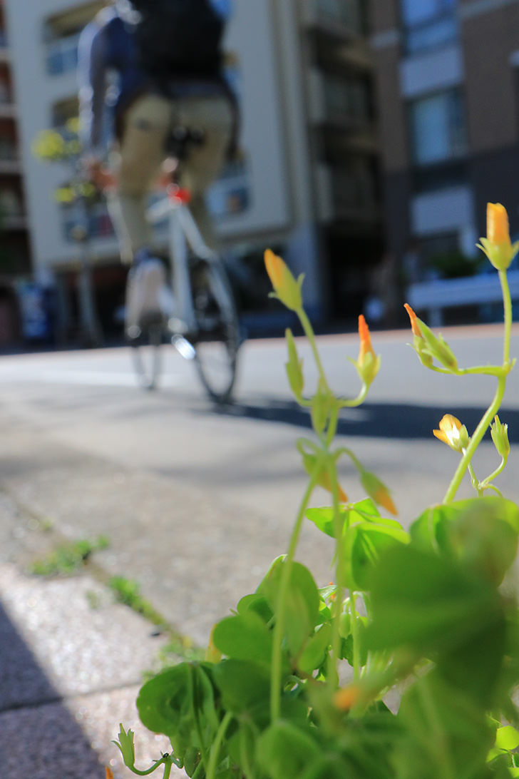 Canon EF-M 28mm f/3.5 Macro IS STM by  in  - EC MALL