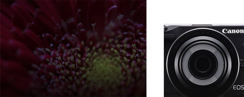 Canon EF-M 28mm f/3.5 Macro IS STM by  in  - EC MALL