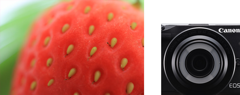 Canon EF-M 28mm f/3.5 Macro IS STM by  in  - EC MALL