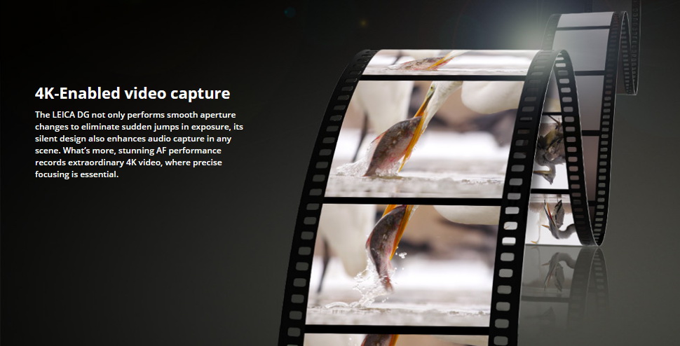 Panasonic Leica DG Summilux 12mm f/1.4 ASPH by  in  - EC MALL