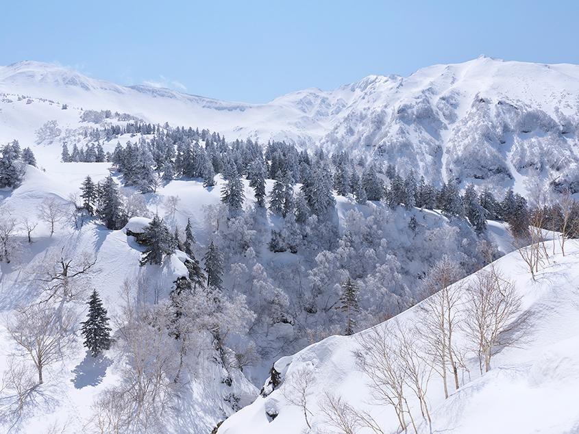 Panasonic Leica DG Summilux 12mm f/1.4 ASPH by in - EC MALL