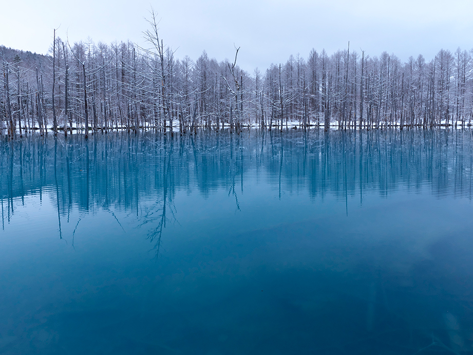 Panasonic Leica DG Summilux 12mm f/1.4 ASPH by in - EC MALL