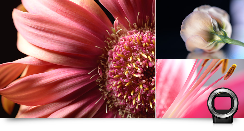 Nikon Mount Adapter FTZ by  in  - EC MALL