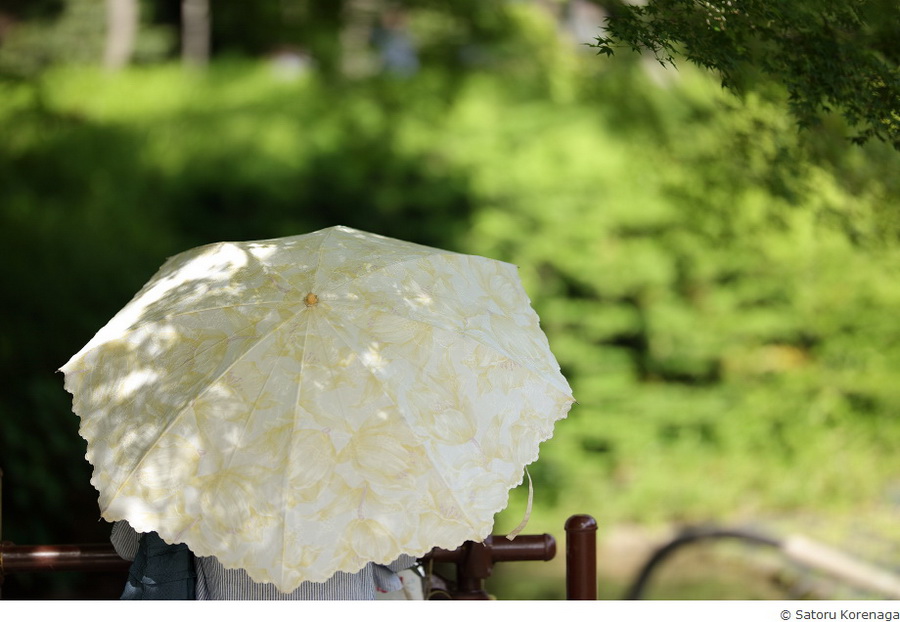 Sigma 105mm f/1.4 DG HSM(A) by  in  - EC MALL