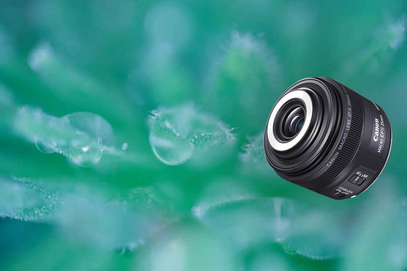 Canon EF-S 35mm f/2.8 Macro IS STM by  in  - EC MALL