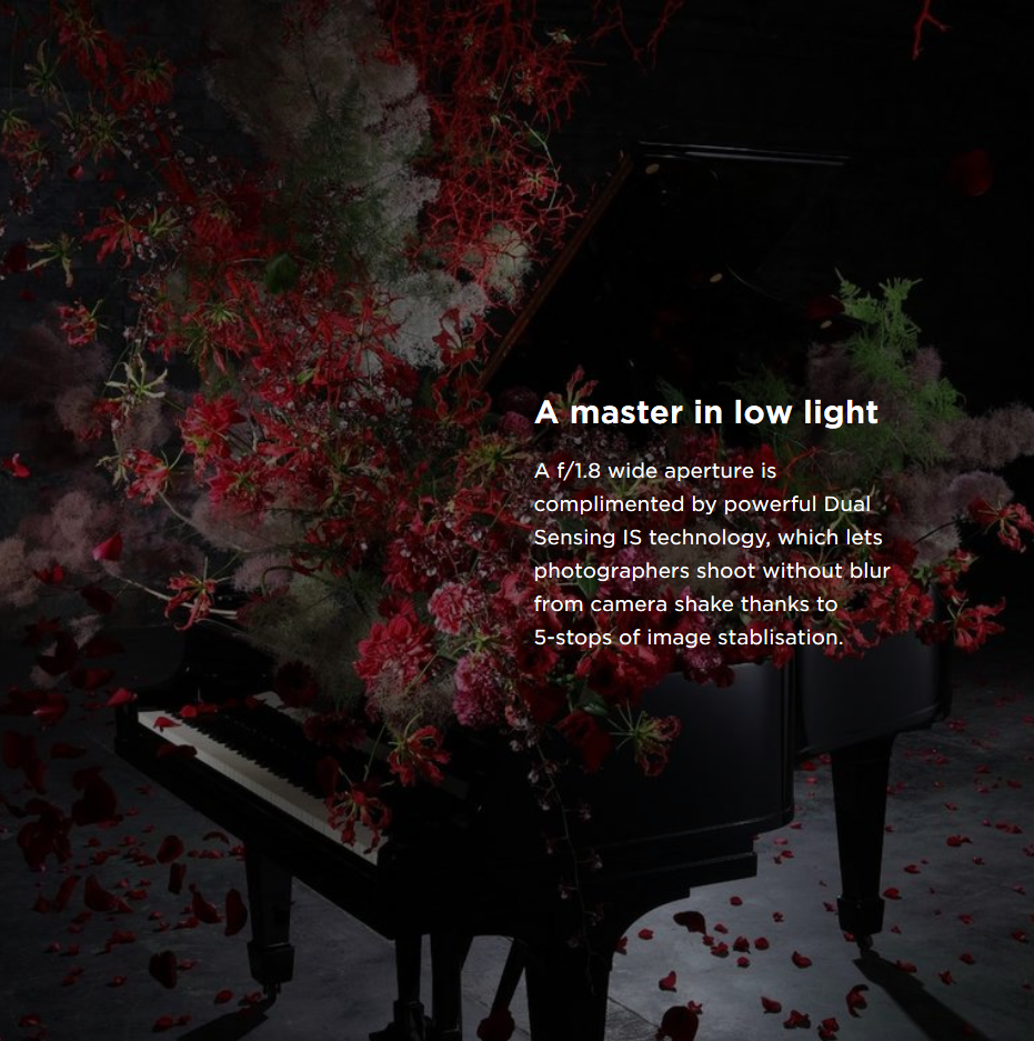 Canon RF 35mm f/1.8 IS Macro STM Lens by  in  - EC MALL