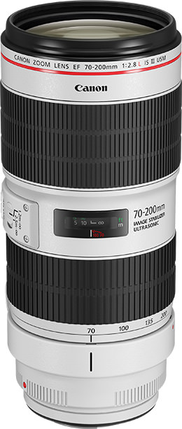 Canon EF 400mm f/2.8L IS III USM by  in  - EC MALL