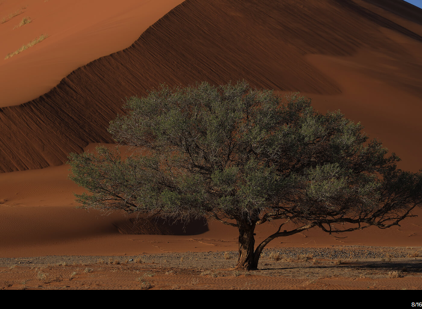 Canon RF 24-105mm f/4L IS USM Lens by in - EC MALL