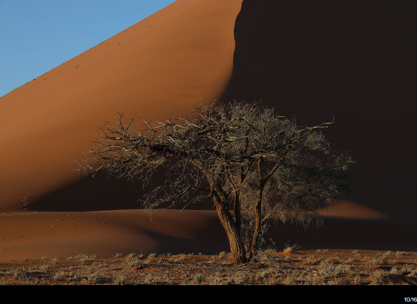 Canon RF 24-105mm f/4L IS USM Lens by  in  - EC MALL