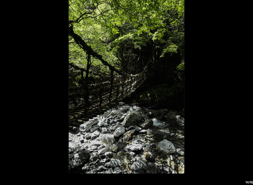 Canon RF 24-105mm f/4L IS USM Lens by in - EC MALL