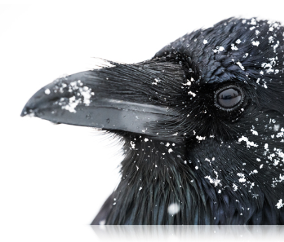 Nikon AF-S NIKKOR 180-400mm f/4E TC1.4 FL ED VR by  in  - EC MALL