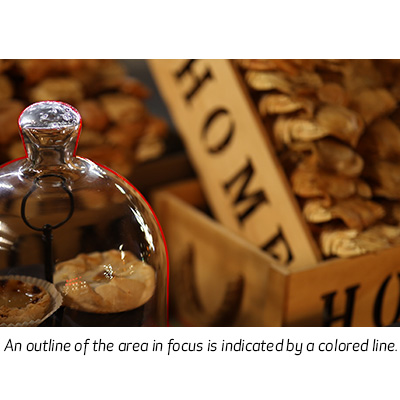 Canon EOS RP Mirrorless Digital Camera Full-Frame by  in  - EC MALL