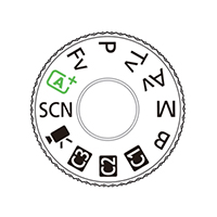 Canon EOS RP Mirrorless Digital Camera Full-Frame by  in  - EC MALL