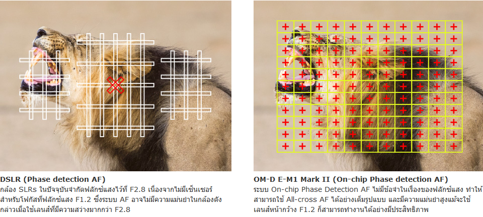 Olympus M.Zuiko Digital ED 17mm f/1.2 PRO by  in  - EC MALL